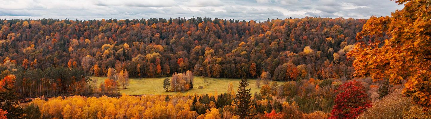Panorama einer Herbstlandschaft in Sigulda in Lettland
