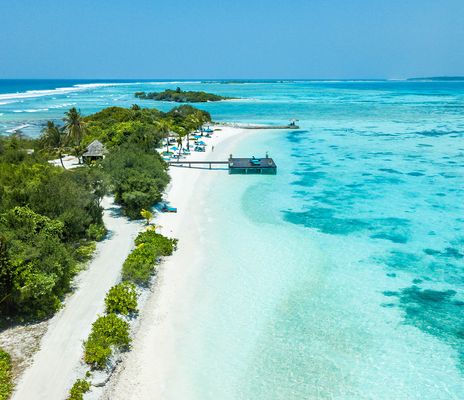 Blick auf einen typischen Strand der Malediven