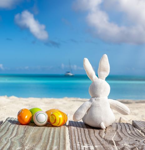 Osterhase mit Ostereiern am Strand