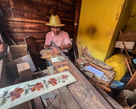 Insel der Lemuren und Regenwälder-1