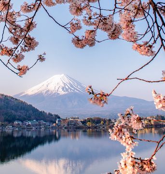 Der Fuji eingerahmt von blühenden Kirschbäumen in Japan