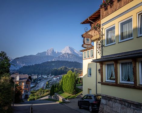 Alpina Ros Demming-0