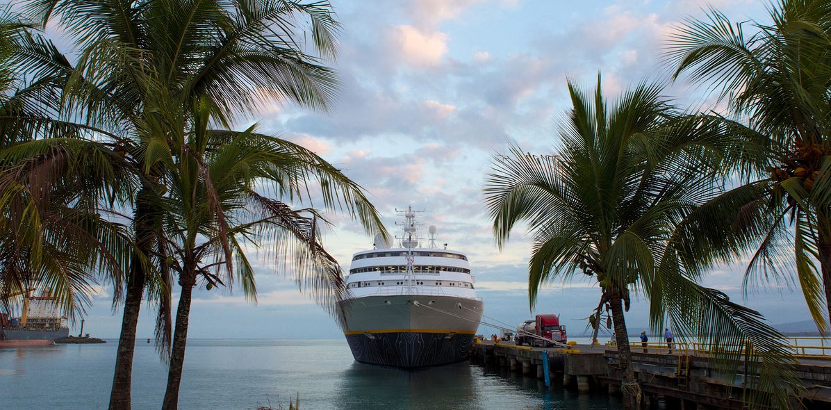 MS Hamburg am palmenumsäumten Steg in der Karibik