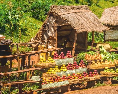 Auf den Spuren der Lemuren und Baobabs-2