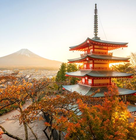 Herbstlaubfärbung an einer von der Sonne beschienenen Pagode vor dem Mount Fuji in Japan