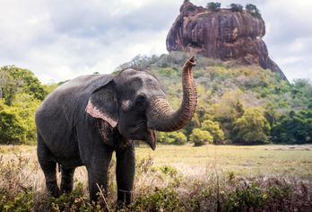 Sri Lanka