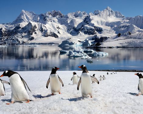 Kreuzfahrt mit der Majestic Princess ab/an Buenos Aires-0