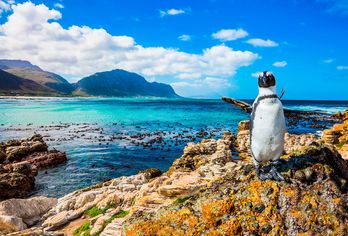 Südafrika & Namibia