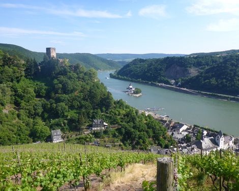 Wandern auf dem legendären Rheinsteig