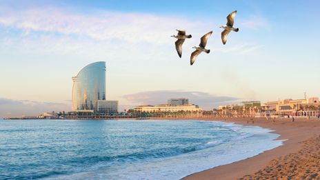 Strand in Barcelona