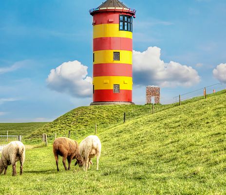 Leuchtturm und Schafe in Pilsum