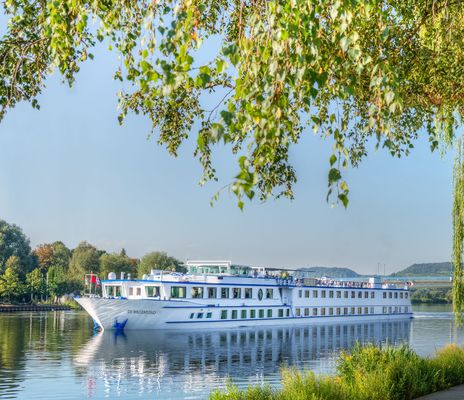 MS De Willhemstad