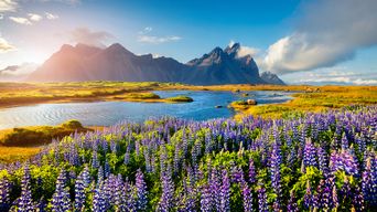 Landschaft auf Island