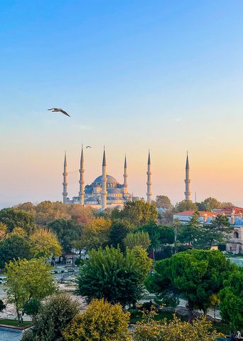 Blaue Moschee in Istanbul mit Minaretten bei Sonnenuntergang und fliegender Möwe am Himmel