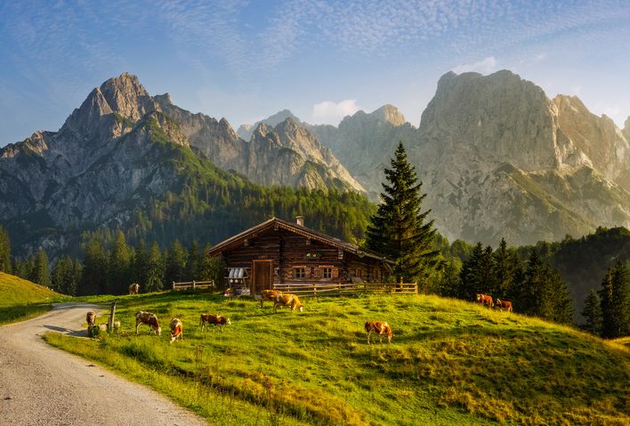 Typisches Bergpanorama in den Schweizer Alpen mit Almhütte und Wiesen mit Kühen