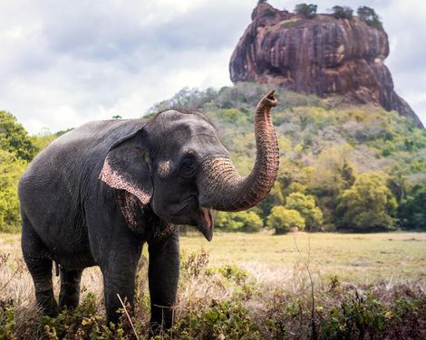 UNESCO-Stätten, Safari & Löwenfelsen-0