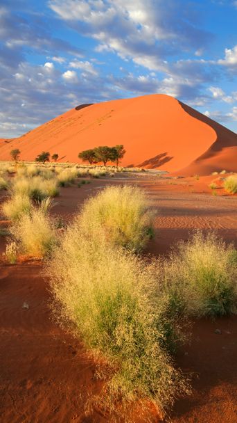 Wüste in Namibia