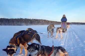 Chronistin Petra in Finnland