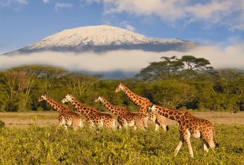 Kenia