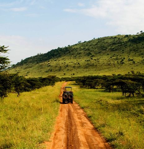 Jeep im Serengeti Nationalpark