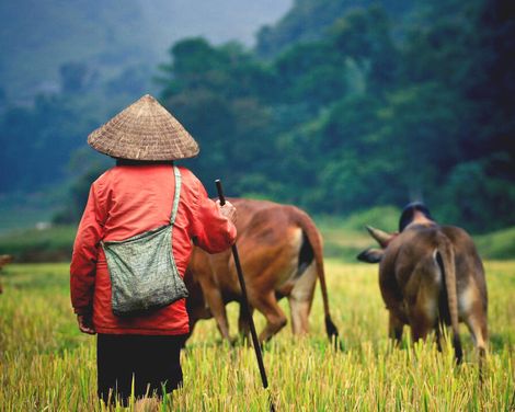 Zwischen Tempeln, Tropen & Traumstränden-1