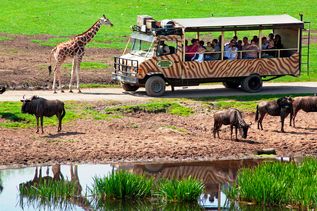 Safari im Serengeti Park in Hodenhagen