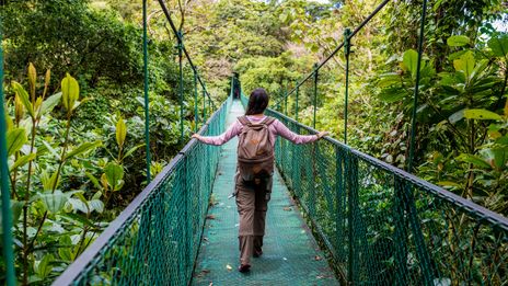 Hängebrücke im Regenwald von Costa Rica