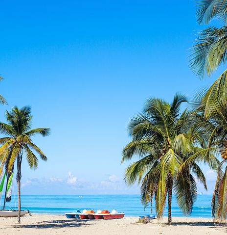 Strand von Varadero mit Palmen