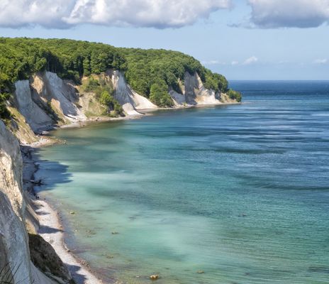 Kreidefelsen auf Rügen