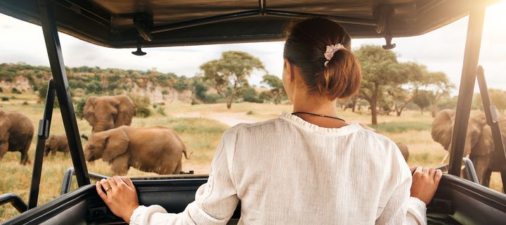 Frau beobachtet Elefanten bei Safari in Tansania
