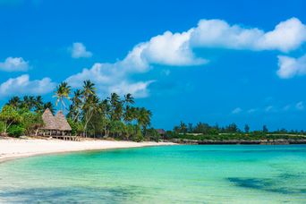 Strand von Sansibar mit Meer und Palmen