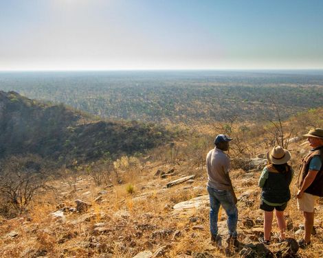 Exklusive Flug-Safari von den Weiten des Okavango bis zu den Viktoriafällen-0