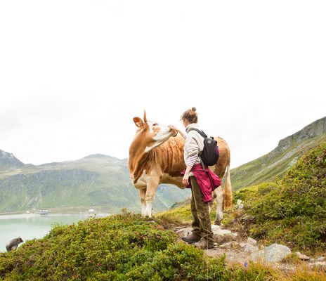 Frau mit Rucksack und Wandermontur in den Alpen von Österreich neben einer Kuh in einer Landschaft mit Bergen und See
