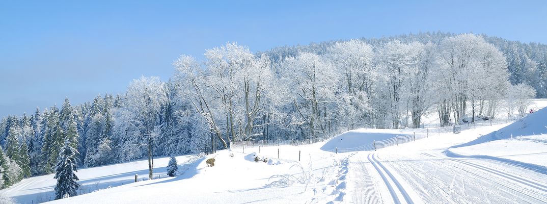 Schneebedeckte Winterlandschaft im bayerischen Wald 