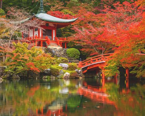 Große Eindrücke in kleiner Runde - Zen, Züge, Zauber-0