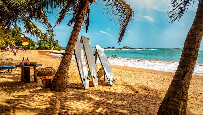 Goldener Sandstrand an der Südküste Sri Lankas mit Palmen und aufgestellten Surfbrettern am Meer