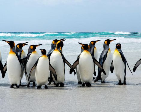 Kreuzfahrt mit Oosterdam von Barcelona/Buenos Aires bis Buenos Aires/Barcelona