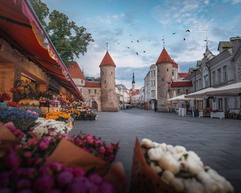 Zwischen Gutshöfen, Nationalparks und Riga-1