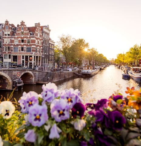 Gracht mit Blumen und historischen Häusern in Amsterdam
