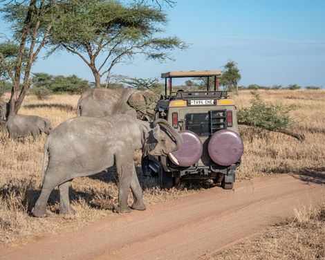 Rundreise ab Karatu mit Badeaufenthalt im Waridi Beach Resort & SPA auf Sansibar-0