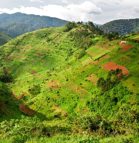 Landschaft in Uganda