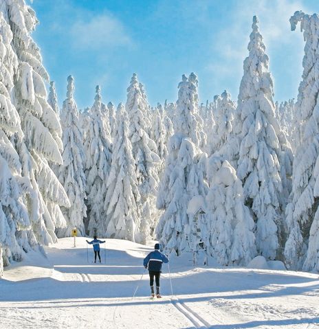 Skifahren im Berchtesgadener Land