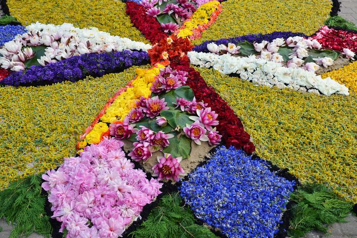 Blumenteppich aus Polen