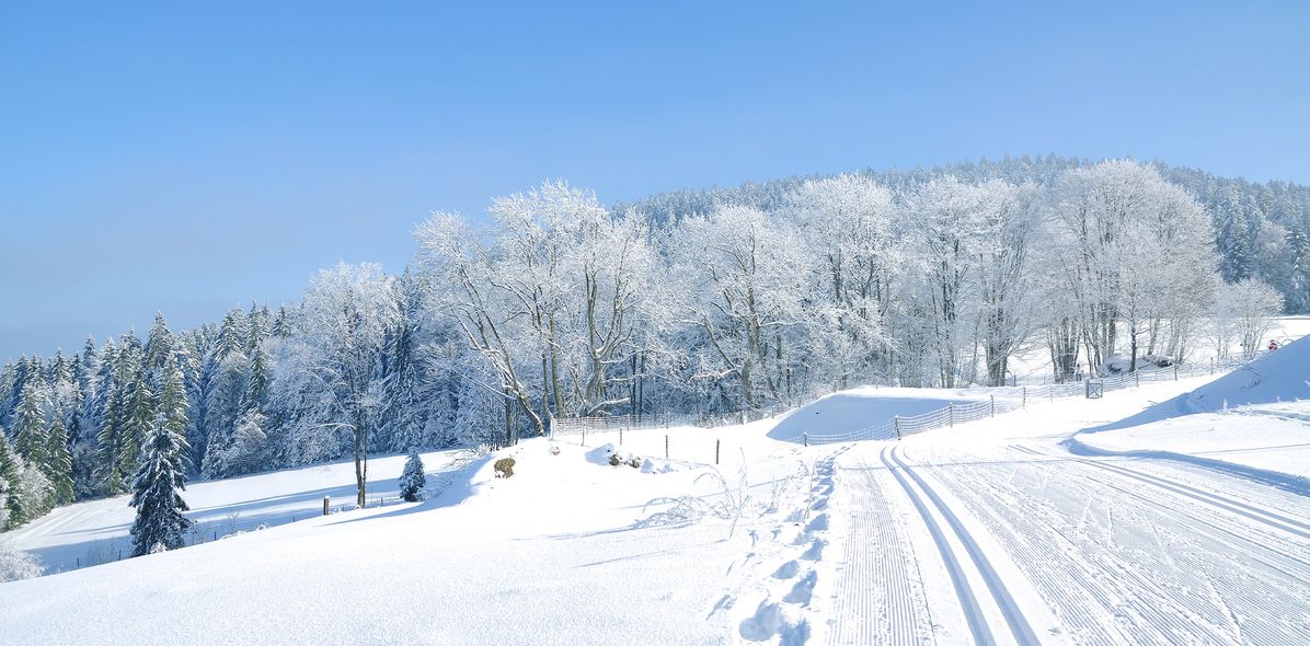 Winterlandschaft im Bayerischer Wald