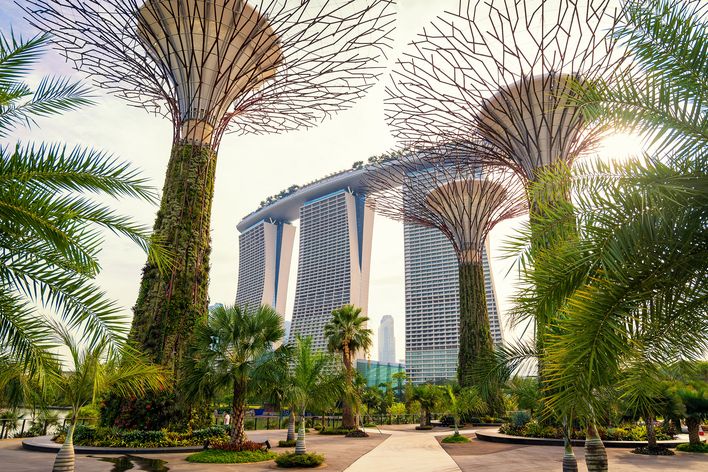 Gardens by the Bay in Singapur