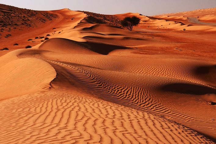Wüste Rimal al Wahiba im Oman