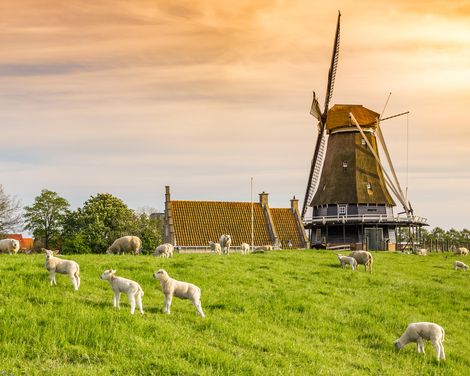 Mit Rad & Segelschiff Leafde fan Fryslân ab/an Enkhuizen-2