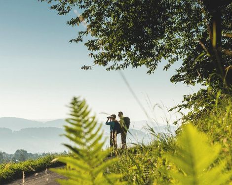 Ferienwohnung für Familien in Bodenmais-3
