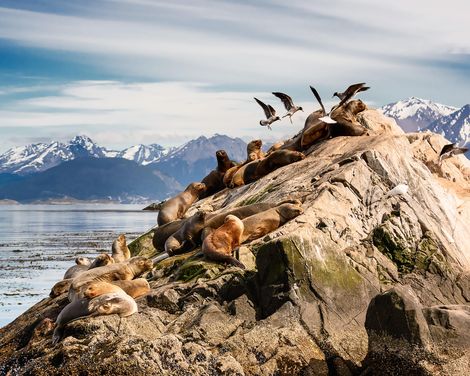 Kreuzfahrt mit der MS Oosterdam von Miami bis Buenos Aires-3