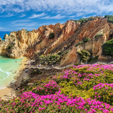 Blumen und Bucht an der Algarve